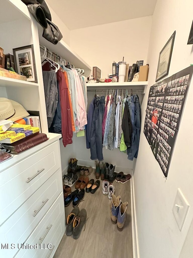 walk in closet featuring wood finished floors