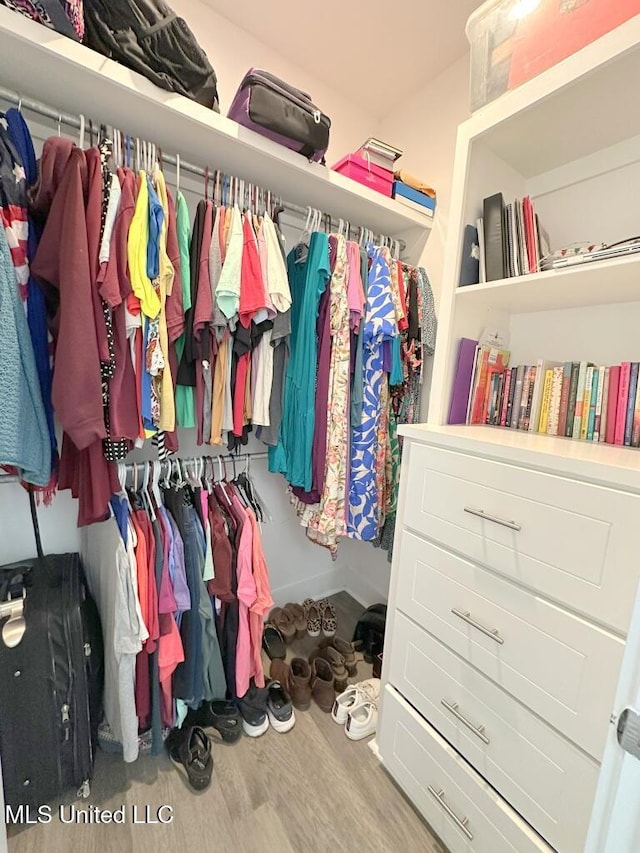 spacious closet with wood finished floors