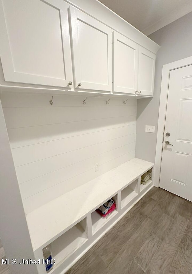 mudroom featuring dark wood-type flooring