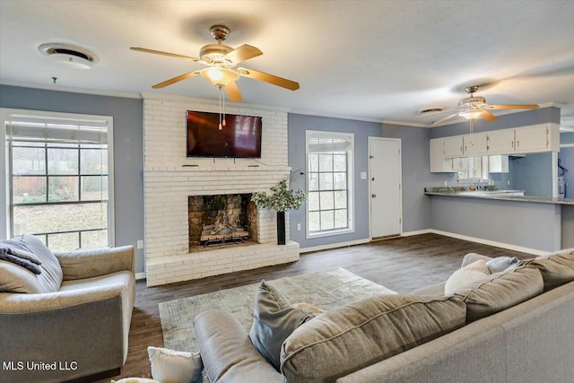 living room with ceiling fan, crown molding, a fireplace, and dark wood-type flooring