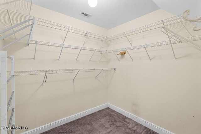 walk in closet with visible vents and carpet flooring