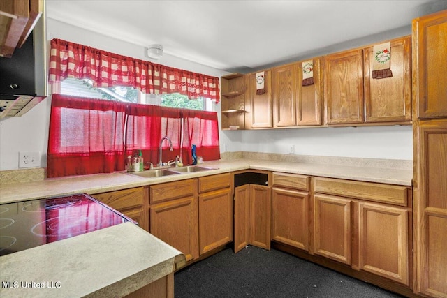 kitchen with sink and cooktop