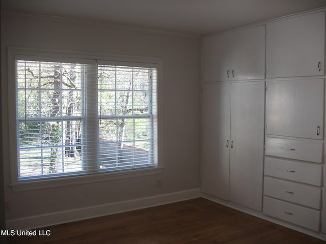 unfurnished bedroom featuring dark hardwood / wood-style flooring and multiple windows