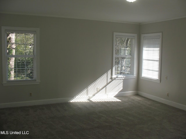 spare room featuring dark colored carpet, a healthy amount of sunlight, and ornamental molding