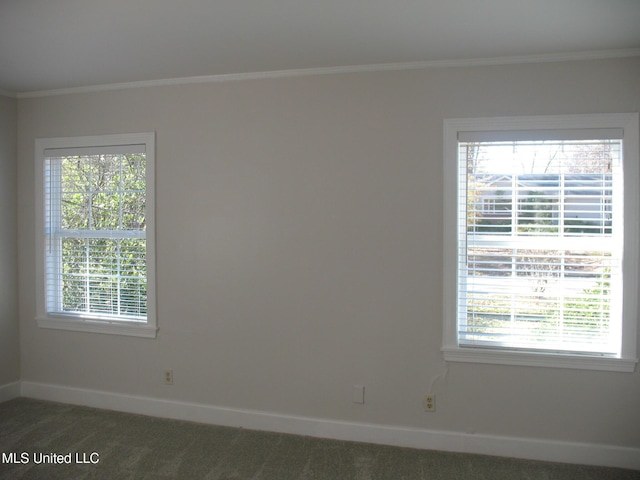 carpeted empty room with plenty of natural light and crown molding