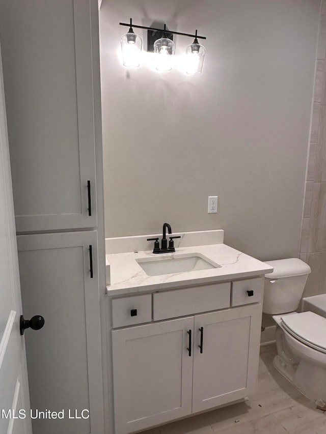 bathroom featuring vanity, toilet, and hardwood / wood-style flooring