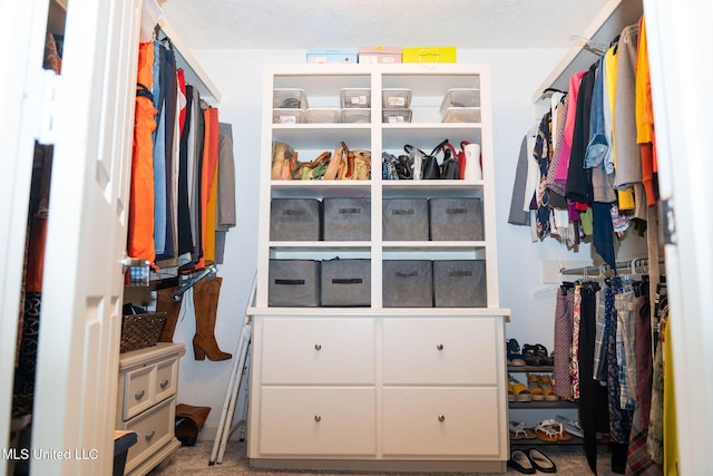 walk in closet featuring carpet floors