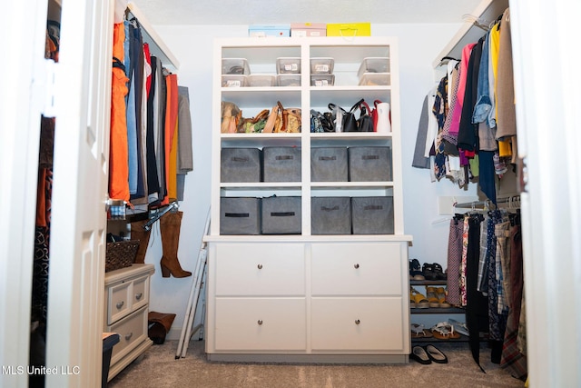 spacious closet featuring light colored carpet