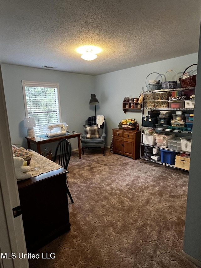 11423 High Rd, Hernando, MS 38632 - bedroom featuring carpet flooring and a textured ceiling