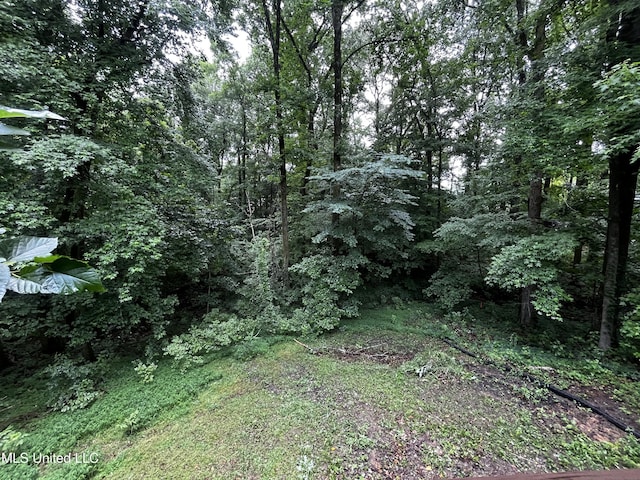 11423 High Rd, Hernando, MS 38632 - view of tree filled area