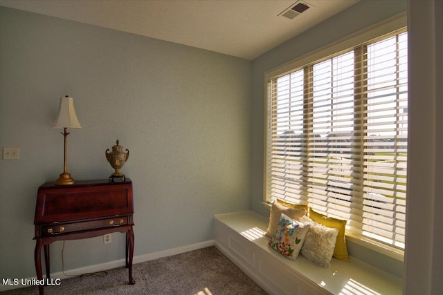 interior space with light colored carpet