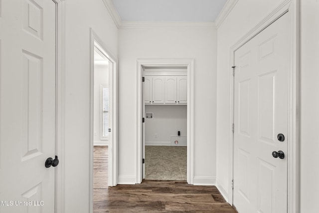 hall featuring crown molding and dark wood-type flooring