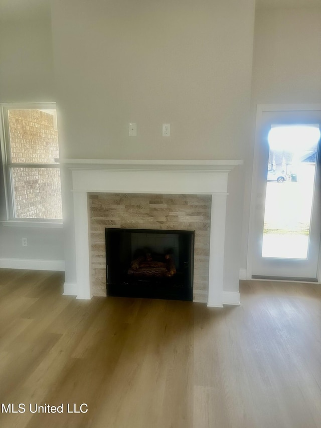 details featuring a tile fireplace and wood-type flooring