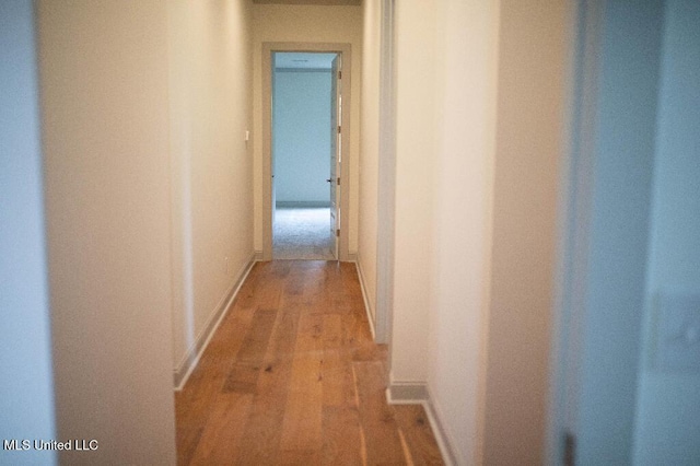 256 Arbor Trl, Brandon, MS 39047 - hall featuring light wood-style flooring and baseboards