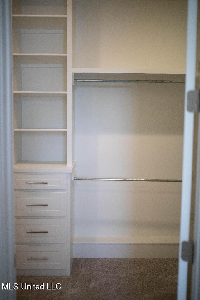 256 Arbor Trl, Brandon, MS 39047 - view of closet