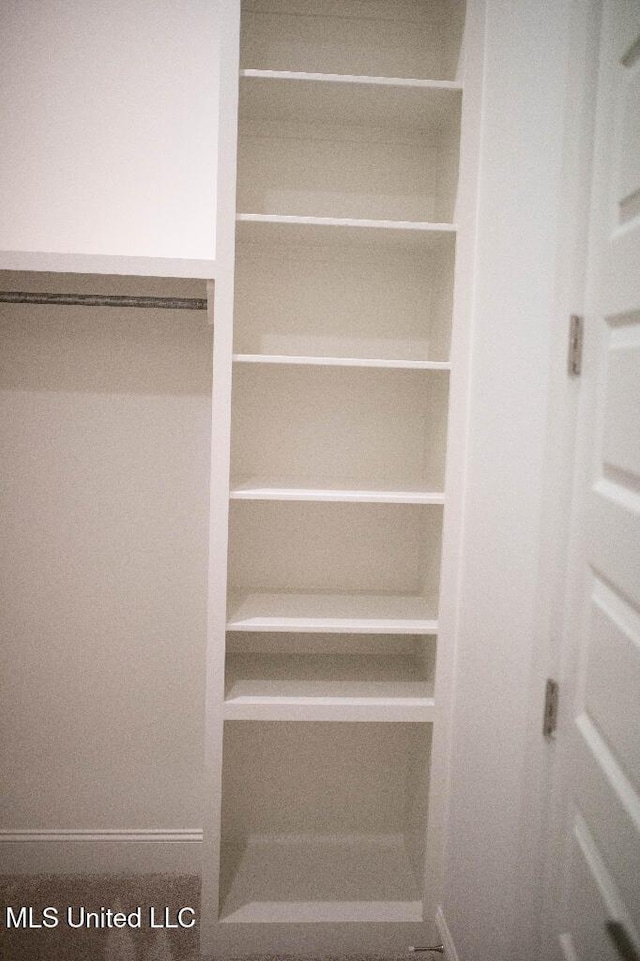 256 Arbor Trl, Brandon, MS 39047 - view of closet