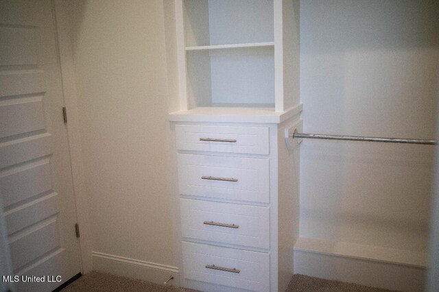 256 Arbor Trl, Brandon, MS 39047 - view of closet