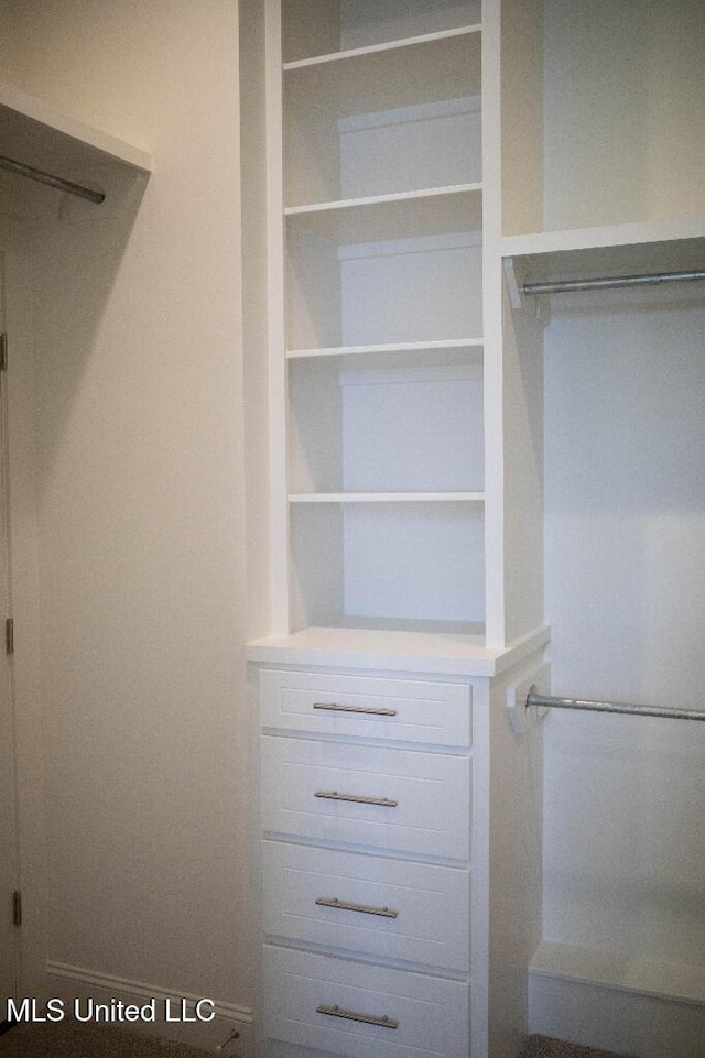256 Arbor Trl, Brandon, MS 39047 - view of closet