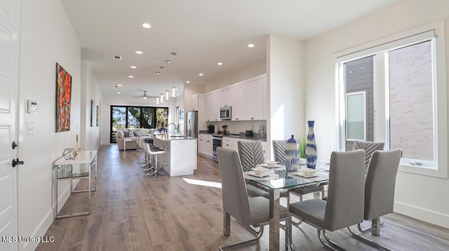 dining area featuring ceiling fan, wood-type flooring, and sink