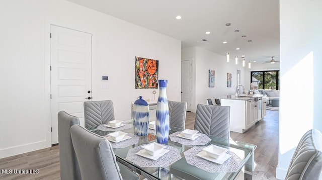 dining space featuring ceiling fan, wood-type flooring, and sink