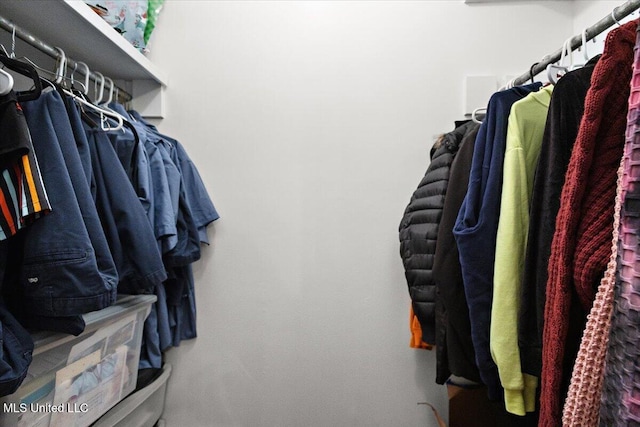 view of spacious closet