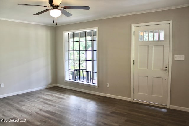 entrance foyer featuring dark hardwood / wood-style flooring, ornamental molding, and plenty of natural light