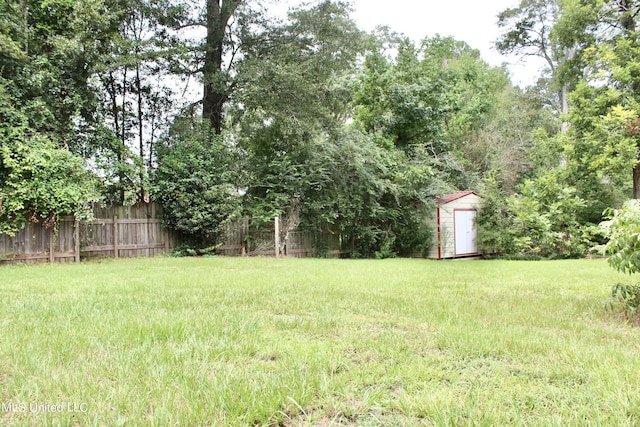 view of yard with a storage shed