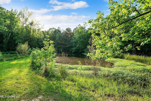 view of local wilderness with a wooded view