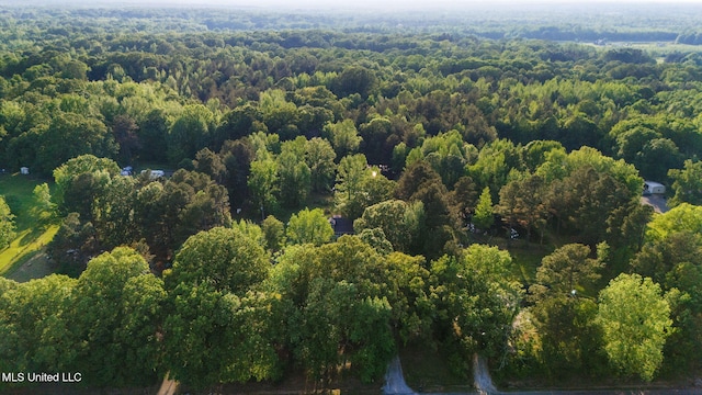 bird's eye view with a forest view