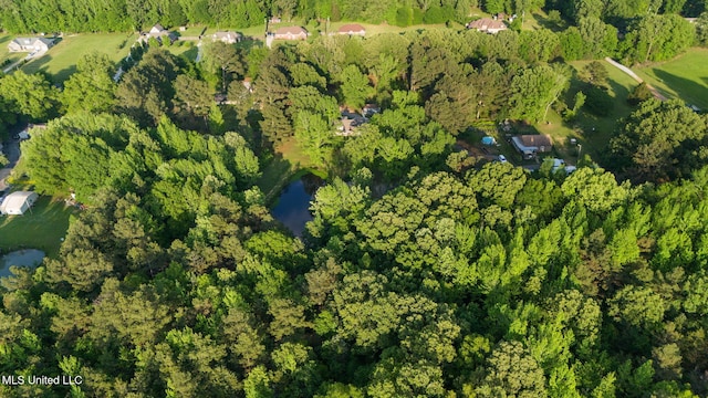 bird's eye view with a view of trees