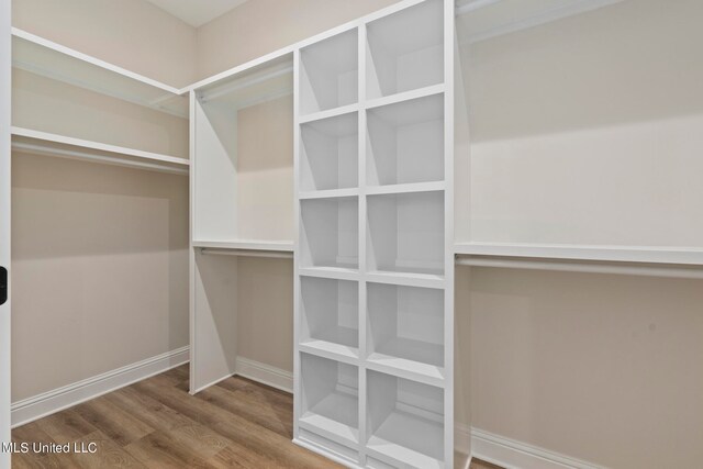 walk in closet with wood-type flooring