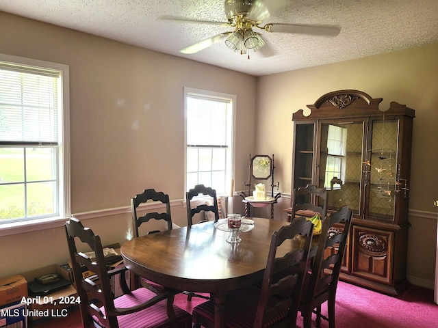 dining room with a textured ceiling, plenty of natural light, and ceiling fan