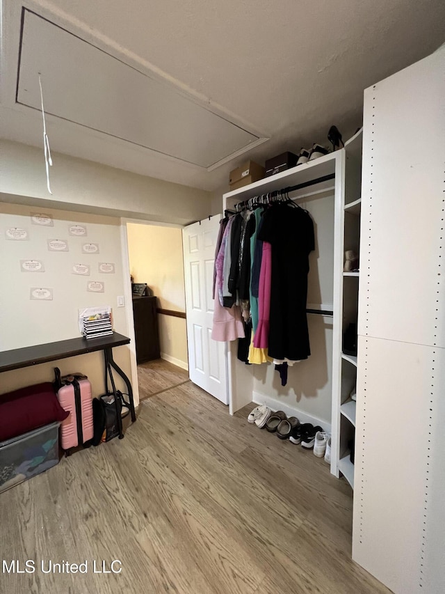 110 Hawks Nest Cv, Brandon, MS 39042 - walk in closet with attic access and wood finished floors
