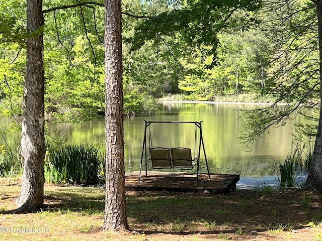 110 Hawks Nest Cv, Brandon, MS 39042 - dock area with a water view