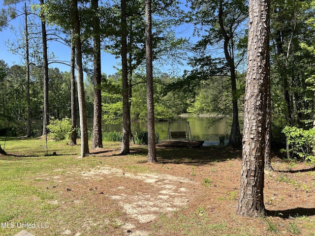 110 Hawks Nest Cv, Brandon, MS 39042 - view of yard with a water view