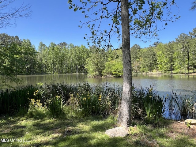 110 Hawks Nest Cv, Brandon, MS 39042 - water view with a heavily wooded area