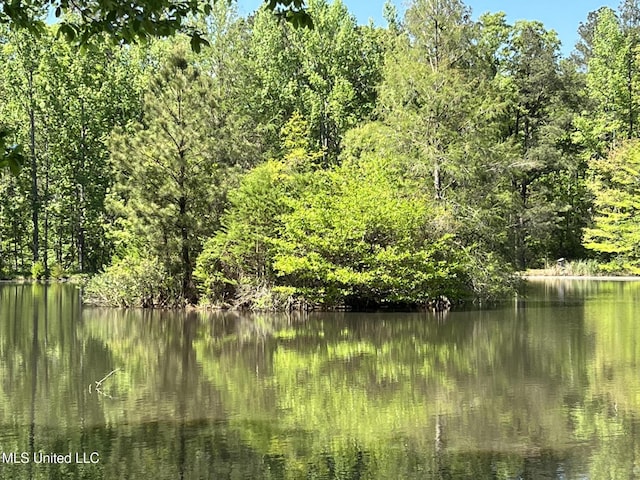 110 Hawks Nest Cv, Brandon, MS 39042 - water view featuring a forest