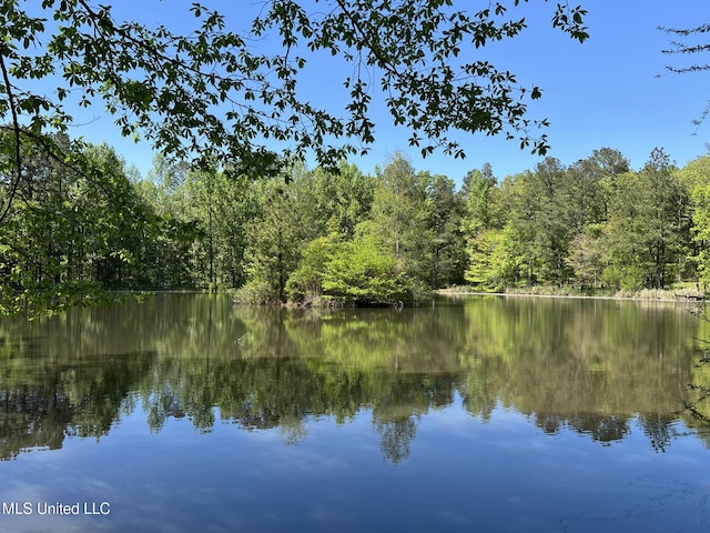 110 Hawks Nest Cv, Brandon, MS 39042 - water view with a forest