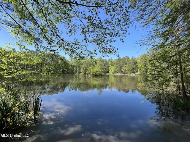 110 Hawks Nest Cv, Brandon, MS 39042 - water view featuring a forest