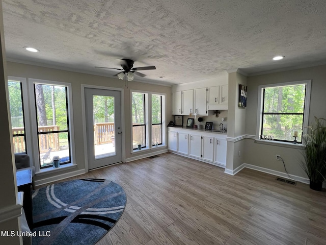 110 Hawks Nest Cv, Brandon, MS 39042 - kitchen with a textured ceiling, white cabinets, a ceiling fan, healthy amount of natural light, and wood finished floors
