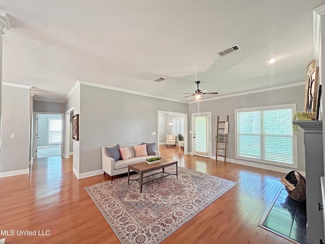 living room with a textured ceiling, light wood-type flooring, ceiling fan, and crown molding