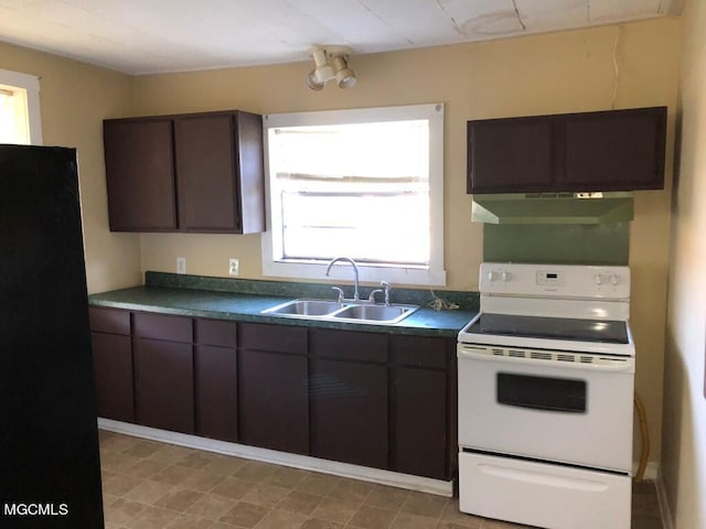 kitchen with dark brown cabinets, black refrigerator, white range with electric stovetop, sink, and ventilation hood