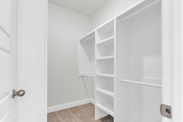 10243 March Meadows Way, Olive Branch, MS 38654 - walk in closet featuring carpet flooring