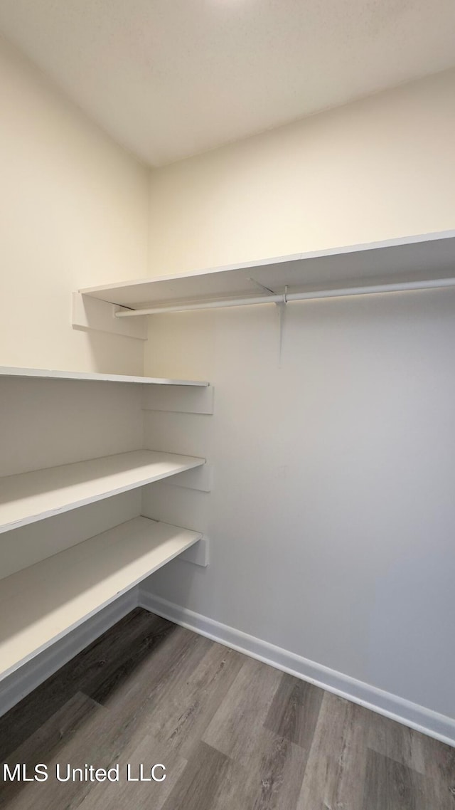 walk in closet featuring hardwood / wood-style floors