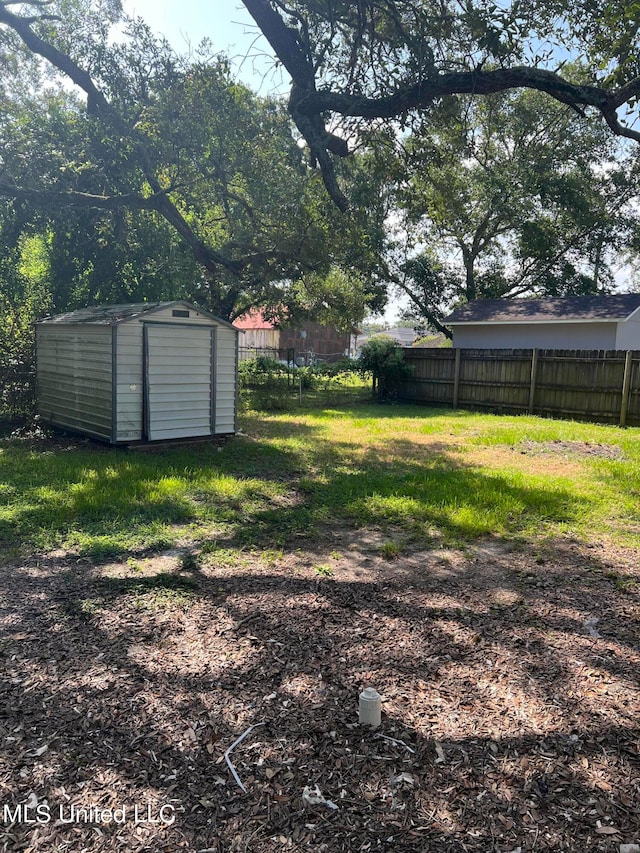 view of yard featuring a shed