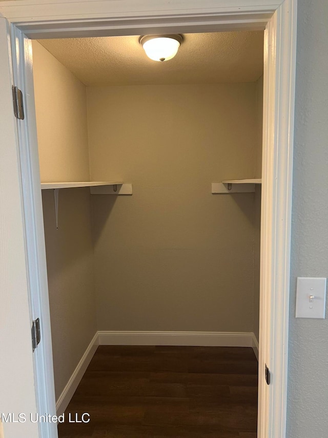 walk in closet featuring dark hardwood / wood-style flooring