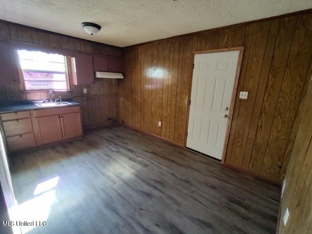 kitchen featuring dark wood-type flooring and wood walls