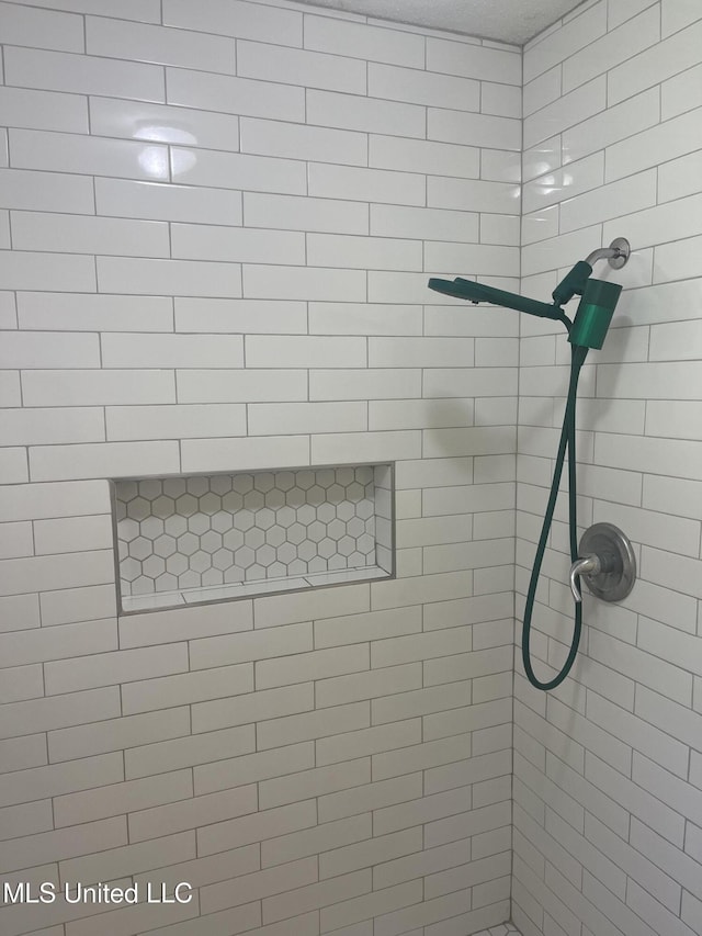 850 Friendship Rd, Ashland, MS 38603 - bathroom with tiled shower