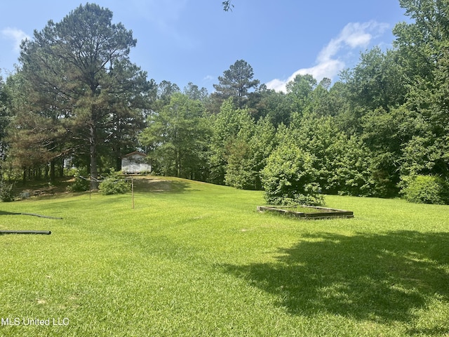 850 Friendship Rd, Ashland, MS 38603 - view of green lawn