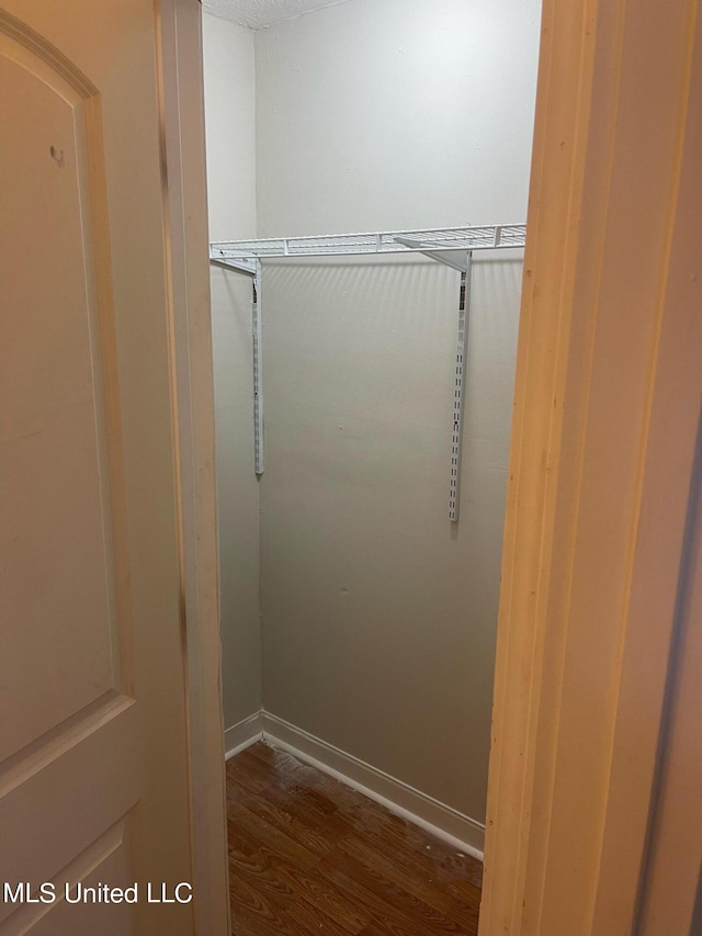 walk in closet with dark wood-type flooring